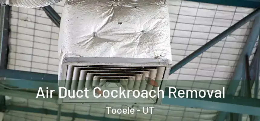  Air Duct Cockroach Removal Tooele - UT