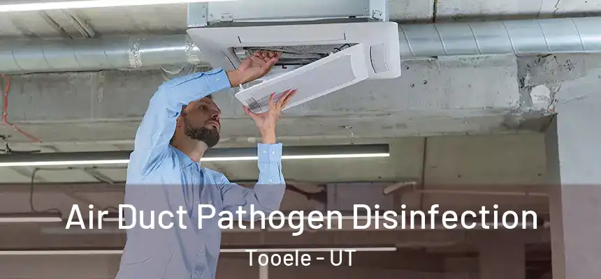 Air Duct Pathogen Disinfection Tooele - UT