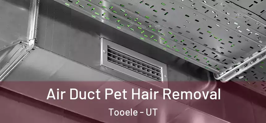  Air Duct Pet Hair Removal Tooele - UT