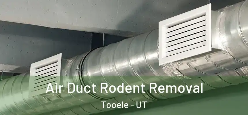 Air Duct Rodent Removal Tooele - UT