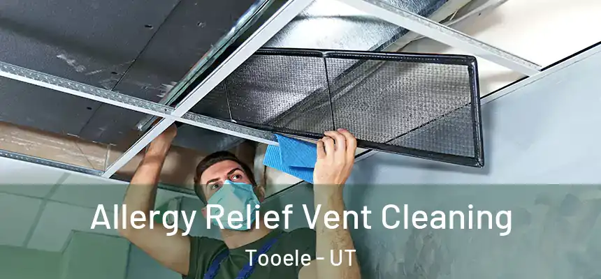  Allergy Relief Vent Cleaning Tooele - UT
