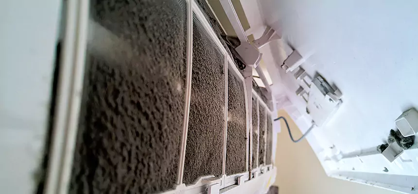 Preventive Air Duct Bacteria Removal in Tooele