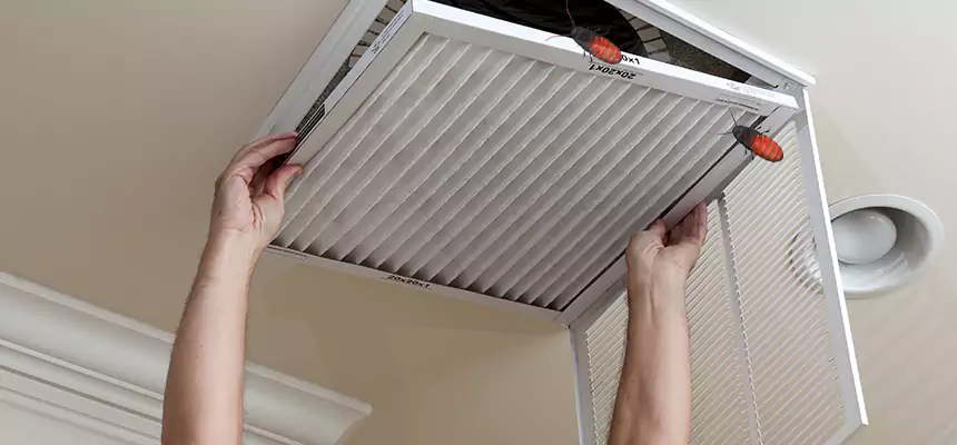 Preventive Cockroach-Proofing for Ducts in Tooele