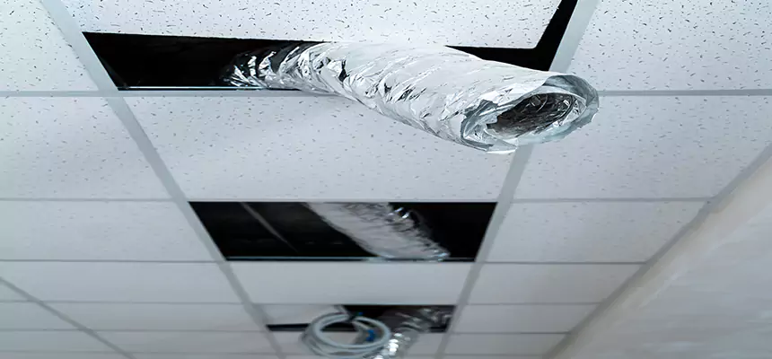 Affordable HVAC Sanitizing After Pest Removal in Tooele