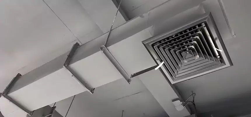 Our Pest Removal From Ducts Services in Tooele, UT