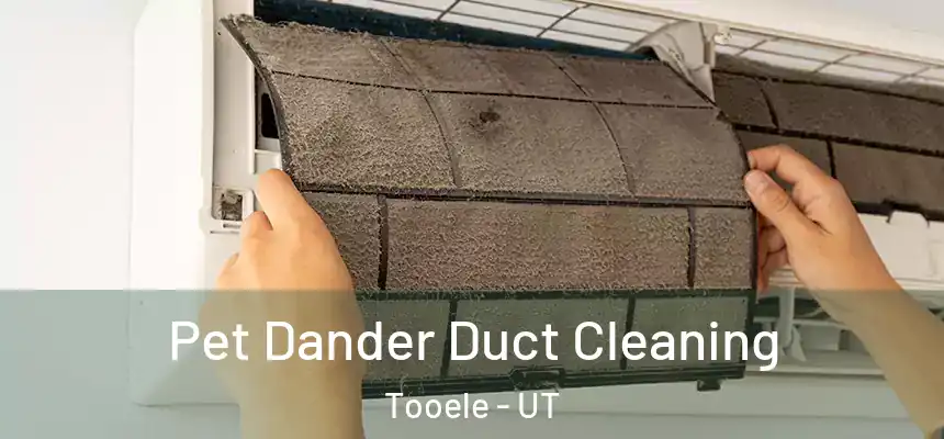  Pet Dander Duct Cleaning Tooele - UT
