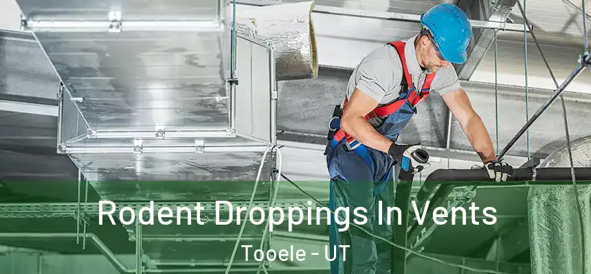  Rodent Droppings In Vents Tooele - UT
