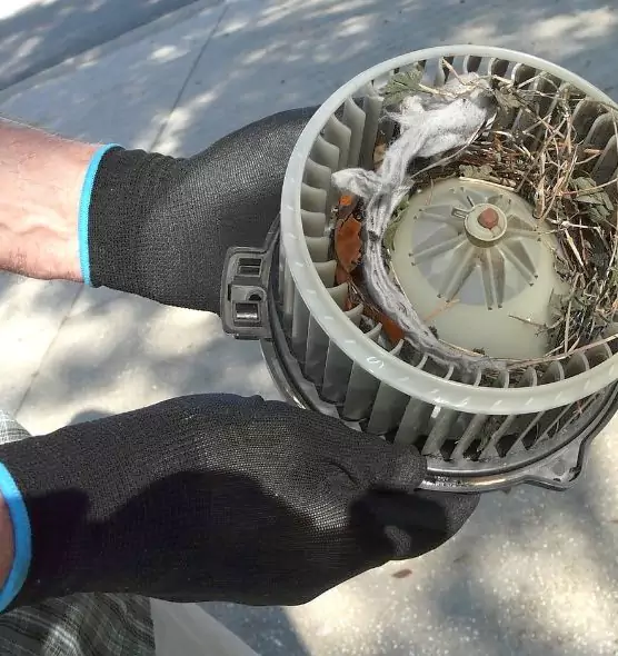 About Air Duct Mice Removal in Tooele, UT