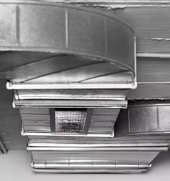 Professional Air Duct Pet Hair Removal in Tooele, UT